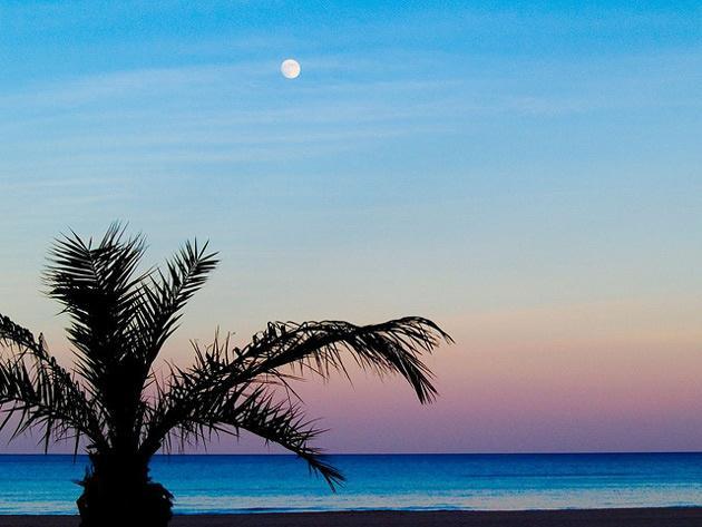 Exclusivo Apartamento Junto Al Mar By Hugo Beach Hotel ガンディア エクステリア 写真